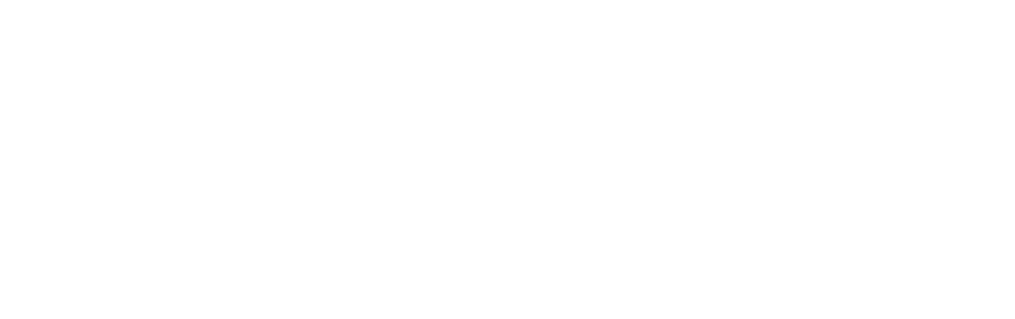 Logo blanc - Pentagon System Sàrl