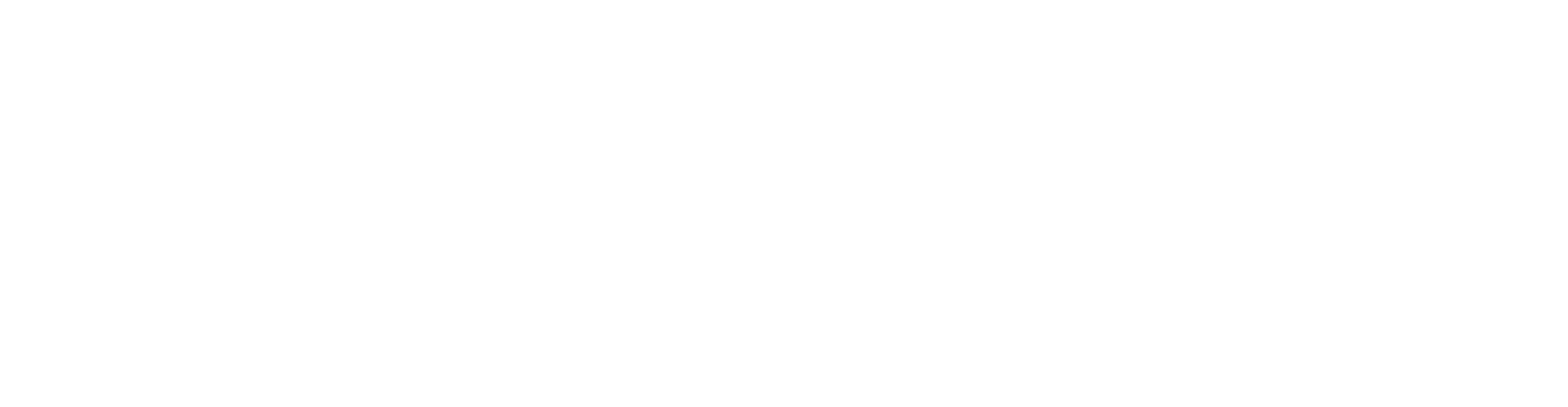 Logo blanc - Pentagon System Sàrl